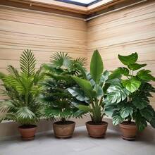 4件套 - 免维护人造大叶植物组合 - 散尾棕榈树 | 常绿发财树人造植物 | 常绿盆栽，婚礼花园现代装饰，花园美化 | 场景绿化布置 | 家居办公室装饰，北欧风格仿真树，适合室内/室外 - 适用于婚礼季、毕业典礼、生日、派对、周年纪念、乔迁等各种场合装饰，四季常绿人造植物。不含花盆。 - 濃鬱的綠色 - 查看 5