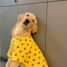 1pc Golden Retriever Paw Print T-Shirt, Loose Fit, Designed Specifically For Large Dogs Like Golden Retriever, Labrador, Samoyed, Husky, Border Collie, Alaskan Malamute, Casual And Print Design, Suitable For Spring, Summer And Autumn - Yellow - View 9