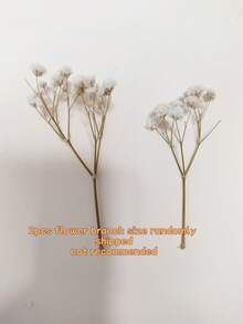25/50/110件迷你滿天星及其他花卉 HOSY 真實感人造花，卡片製作與 DIY 手作、花瓶填充花、婚禮裝飾花雨、桌面中心裝飾、乾花風格仿真花、星空花枝室內植物，適合婚禮使用 - 呼吸花 - 查看 16