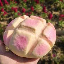 (Large Size)Extra Large Soft Squishy Pineapple Bread Toy - Extra Large Size, Soft & Juicy, Slowly Rises, Stress Relief, Sensory Toy, Suitable For Office And School, Quiet Outlet For Frustration - 多色的 - 查看 5