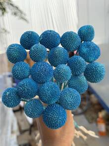 10/20/30 Stücke Natürliche lebensechte getrocknete Craspedia Blumenstrauß - glasartige Schneeball Blumen, leuchtend gelbe kugelförmige Blüten, geeignet für DIY, Hochzeiten & Heimdekoration, haltbarer Mittelpunkt, von rustikaler bis moderner Floristik - Himmelblauer Goldball - Übersicht 1