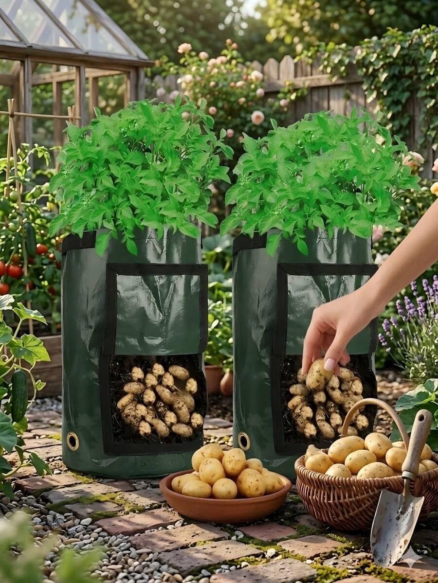 1个装耐用布质土豆种植袋，带盖和提手，春季种植袋，适用于植物、蔬菜种植，带门种植桶