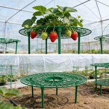 Bộ 3/9 món giá đỡ trồng cây đa năng chất lượng cao cho rau củ và quả mọng, bộ chậu trồng dâu tây, thiết kế trồng cây hợp lý - Ngăn ngừa ô nhiễm đất, nấm mốc, sâu bệnh, giúp giữ gìn vệ sinh và chất lượng trái cây. - Nhiều màu - Xem 8