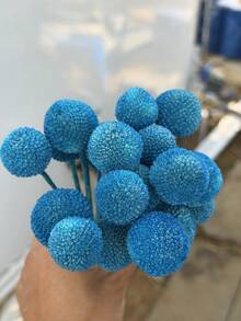 10/20/30 Stücke Natürliche lebensechte getrocknete Craspedia Blumenstrauß - glasartige Schneeball Blumen, leuchtend gelbe kugelförmige Blüten, geeignet für DIY, Hochzeiten & Heimdekoration, haltbarer Mittelpunkt, von rustikaler bis moderner Floristik - Himmelblauer Goldball - Übersicht 2