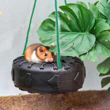 Colorful Tire-Shaped Hamster Swing, Small Animal Toy Training Wheel, Hamster Hammock/Rocking Bed, Small Pet Exercise Equipment, Ideal Hamster Cage Game Accessory, Durable Climbing And Play Accessory, Suitable For Hamsters, Guinea Pigs, Squirrels And Parrots, Easy To Hang, Anti-Bite Design - View 5