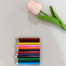 Set Pensil Warna Pendek dengan LOGO Teks Kustom, Perlengkapan Seni Pensil Gambar, Cocok untuk Kelas Seni Sekolah, Set Lukisan Portabel untuk Perjalanan, Ideal untuk Menggambar dan Melukis di Kartu - MultiWarna - View 13