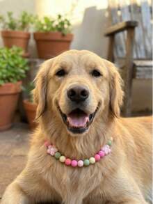 Cute Multicolor Pet Silicone Bead Collar Necklace, Peach Cream Multicolor Dog Collar, Cat Flower Cute Necklace, Flower Silicone Bead Beaded Dog Necklace, 3D Flower Silicone Bead Pet Necklace, Pet Birthday Gift, Pet Photography Prop, Pet Cute Necklace Pet Accessories, Pet Supplies - Multicolor - View 4