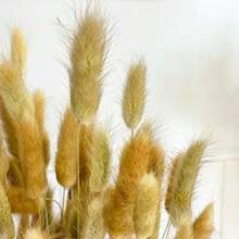 30~240支 17英吋多色人造兔尾草，居家裝飾人造兔尾草莖，適用於波希米亞風花藝佈置、DIY手工藝、居家廚房及婚禮裝飾、聖誕裝飾 - 卡其色 - 查看 6