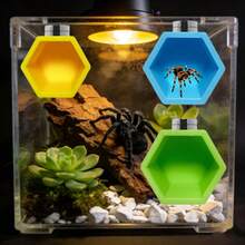 Jumping Spider Habitat Hexagon Hideout, Magnetic Jumping Spider Shelter, Jumping Spider Fence Accessories, Climbing And Feeding Platform, Small Reptile Hiding Place, Perfect Insect Habitat Decor, Jumping Spider Wheel Beehive Shaped Habitat - View 1
