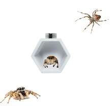 Jumping Spider Habitat Hexagon Hideout, Magnetic Jumping Spider Shelter, Jumping Spider Fence Accessories, Climbing And Feeding Platform, Small Reptile Hiding Place, Perfect Insect Habitat Decor, Jumping Spider Wheel Beehive Shaped Habitat - View 9