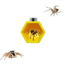 Jumping Spider Habitat Hexagon Hideout, Magnetic Jumping Spider Shelter, Jumping Spider Fence Accessories, Climbing And Feeding Platform, Small Reptile Hiding Place, Perfect Insect Habitat Decor, Jumping Spider Wheel Beehive Shaped Habitat - View 8