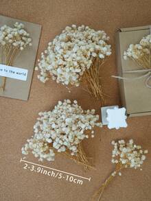 50/100pcs Artificial White Mini Baby's Breath Gypsophila Ivory Flowers For Vase, Wedding, Home, Office, Party, Garden, Card Making, DIY Decoration - White - View 5