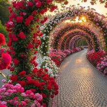 1005+ Mixed Hybrid Rambling Rose Seeds For Planting Outdoors-Rare Climbing Rose Seeds Plant -Roses Bushes Seed For Fence And Archway Repeat Flowering And Fragrant Romantic Gardens Outdoors - Hỗn hợp - Xem 3