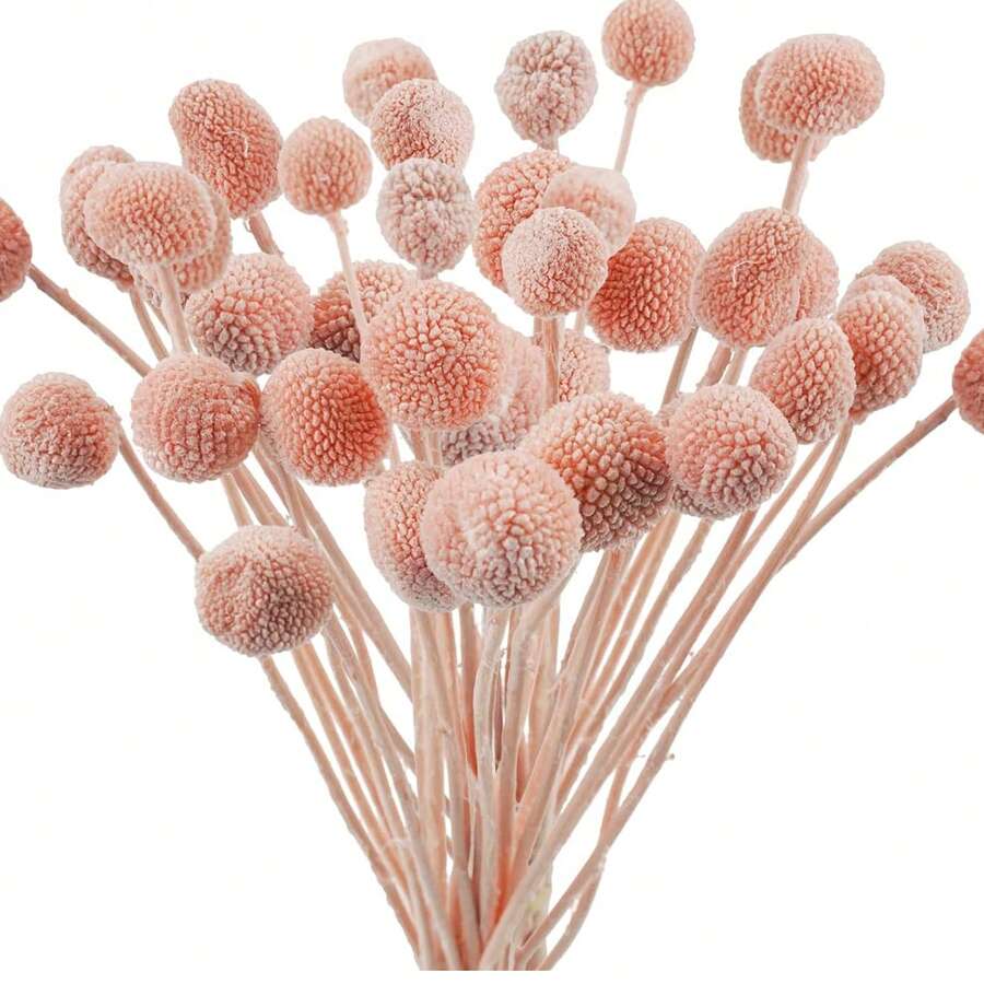 10/20/30支装仿真天然干金槌花花束 - 晶莹剔透的雪球花,鲜艳的黄色球状花朵,适合DIY、婚礼和家居装饰,经久耐用,可作中心装饰品,风格从乡村到现代皆宜。 - 粉色 - 查看 1