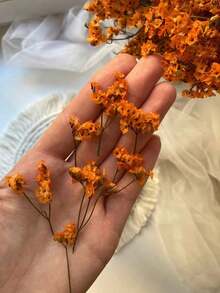 Laranja (Crystal Grass)