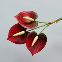 3pcs Realistic Touch 3D Red Anthurium Artificial Flowers - Red Flamingo Lily Faux Flowers, Suitable For Wedding Bouquets And Home Decor | Lifelike Touch Wedding Floral Arrangements And Table Centerpieces - Multicolor - View 6