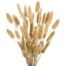 55-60 Pcs Random Delivery, Approximately 16.5 Inch Khaki Artificial Bunny Tail Grass, Suitable For Bohemian Style Floral Decor, DIY Crafts, Home Kitchen And Wedding Decor, Christmas Decor, Thanksgiving Decor, DIY Wreath Decor - Khaki - View 3