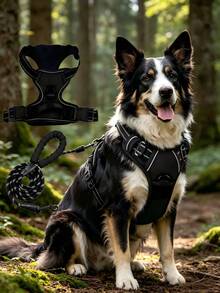 2pcs Reflective Dog Harness And 1.5m Leash Set, Breathable Pet Harness, Suitable For Small, Medium, Large Dogs And Cats, Puppy Harness, Dog Walking Leash And Harness Accessories - Black - View 6