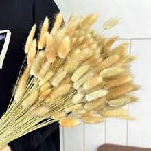 30~240支 17英吋多色人造兔尾草，居家裝飾人造兔尾草莖，適用於波希米亞風花藝佈置、DIY手工藝、居家廚房及婚禮裝飾、聖誕裝飾 - 卡其色 - 查看 3
