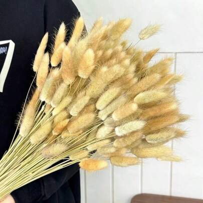 55-60 枝随机发货，17 英寸卡其色人造兔尾草，家居装饰人造兔尾草枝，适用于波西米亚风格插花、DIY 手工艺品、家居厨房装饰、婚礼、圣诞节、感恩节、花环制作