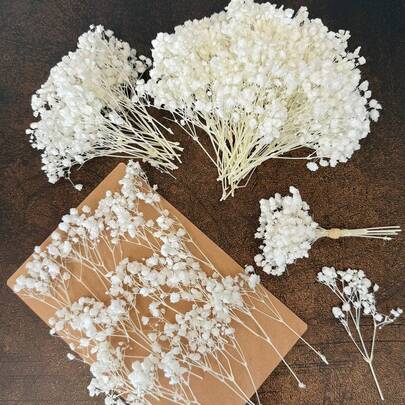 25/50/100/150/300 bông hoa giả mini hoa baby's breath và các loại hoa khác - Dùng cho khuôn nhựa, nghệ thuật và thủ công, bó hoa màu sắc dùng làm phụ kiện tóc, vòng hoa cưới, trang trí bàn, trang trí nhà cửa - Bó hoa màu trắng ngà dùng làm phụ kiện tóc, vòng hoa cưới, trang trí bàn và trang trí nhà cửa.