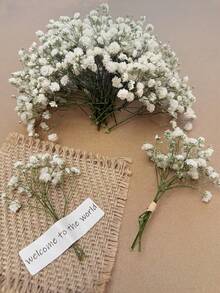 25/50/100/150/300pcs Mini Baby's Breath And Other Artificial Flowers - For Arts And Crafts, Hair Accessories, Wedding Wreaths, Table Flowers, Home Decor, Etc. - White-green - View 9