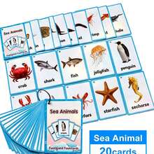 1pc 20pcs Ocean Animal Flashcards, English Learning Early Education Cards, Fun Vocabulary Learning Tool, Waterproof Thick Design With Keyring, Underwater Creature Pattern Recognition Cards, Preschool Educational Cognitive Cards, Parent-Child Interaction English Enlightenment Learning Cards - Multicolor - View 6