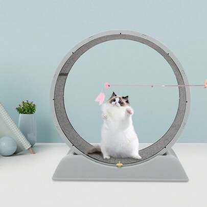 Cat Exercise Wheel With An 80 Cm Diameter (31.1 X 13.39 Inches), Large Base, Weight Capacity Up To 22.05 Lbs. Cat Exercise Wheel For Living Room, Bedroom Or Balcony – Ideal For Training And Playing.