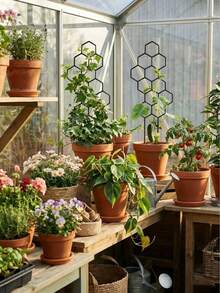 3pcs Honeycomb Plant Climbing Trellis, Rust-Resistant Metal Support Stand, Suitable For Potted Vine Plants And Flowers, Indoor/Outdoor Gardening Space-Saving Support Rack - A - View 1