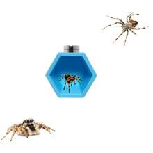 Jumping Spider Habitat Hexagon Hideout, Magnetic Jumping Spider Shelter, Jumping Spider Fence Accessories, Climbing And Feeding Platform, Small Reptile Hiding Place, Perfect Insect Habitat Decor, Jumping Spider Wheel Beehive Shaped Habitat - View 7