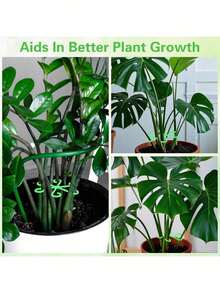 4pcs Plastic Plant Stem Support Racks, Gardening Tools, Indoor Climbing Plant Plastic Flower Stands - Multicolor - View 6