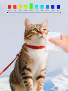 Pet Cleaning, Eye, Chin, Leg, Paw, Wet Wipes, Cats, Birds, Rabbits, Pigs, Hamsters, Small Wet Wipes, Dog Cleaning, Tear Removal, Eye Wiping, Body Wiping, Butt Wiping, Pet Specific, Deodorizing, Odor Removing, Sanitary Wet Wipes And Tissues, - View 5