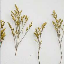 25/52/102/298 Pcs Artificial White Mini Baby's Breath Flowers, Ivory Flowers In Vase For Wedding, Home, Office, Party, Garden, Card Making, DIY Decor - Yellow - View 6