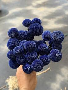 10/20/30 支装仿真天然金色干花花束 - 晶莹剔透的雪球花，鲜艳的黄色球状花朵，适合 DIY、婚礼和家居装饰，经久耐用，可作中心装饰品，风格从乡村到现代皆宜。 - 深寶藍色黃金球 - 查看 5