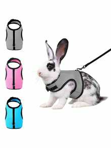 1pc Multicolor Rabbit Harness With Leash, Adjustable Rabbit Chest Strap, Cute Pet Collar And Leash Set For Small Animals Like Rabbit, Ferret, Lizard, Guinea Pig, Hamster - Multicolor - View 10