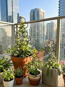 3pcs Honeycomb Plant Climbing Trellis, Rust-Resistant Metal Support Stand, Suitable For Potted Vine Plants And Flowers, Indoor/Outdoor Gardening Space-Saving Support Rack - A - View 4