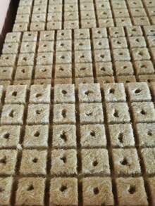 25/50/100pcs Horticultural Substrate Cotton Blocks | Breathable, Water-Absorbing, Non-Rotting, Suitable For Vegetables/Succulents Hydroponics, Easy For Beginners, Planting Supplies Without Live Organisms - A - View 2