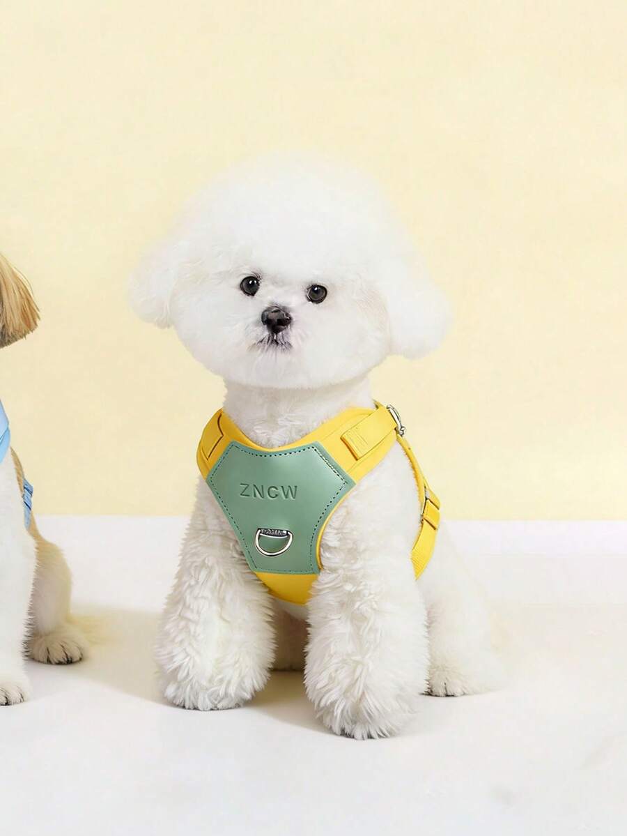 Conjunto de Peitoral e Guia Sem Puxão para Cães Pequenos, Médios & Gatos, Peitoral de Colete Macio Ajustável com Guia de Corda Combinando, Kit de Passeio de Estimação Fashion Colorblock, Peitoral à Prova de Fuga para Filhotes & Gatinhos