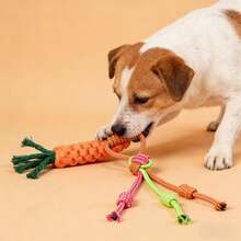 1pc Carrot Shaped Durable Chew Rope Toy For Dogs, Pet Interactive Toy And Dental Care, Cute Design, Made Of Polyester Fiber, Carrot Shaped With Knotted Structure And Tassel Ends, Anti-Bite And Teeth Cleaning Function, Suitable For Small/Medium Dogs, Cute And Durable, Ideal For Puppy Owners, Pet Gift - Multicolor - View 5