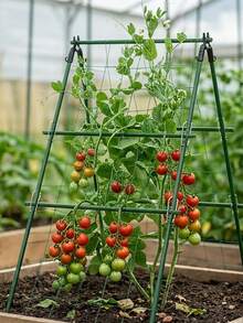 1 Set A-Frame Metal & Detachable: Garden Trellis Set, Composed Of 120Cm*40Cm Plant Support Including Connector Accessories, Climbing Net And Plant Support, Climbing Vine Grape Cucumber Frame, Vegetable Support, Courtyard Flower Plant Support Rod - Multicolor - View 3