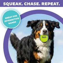 Outward Hound FlyFetch Squeak Ball Dog Toy, Extrau2011Loud Squeaker, Durable Foam Core, Floats In Water, All Breeds, 4" - 白色 - 查看 2
