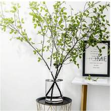 Bình hoa trong suốt chống nhỏ giọt, Chậu hoa tươi, Chăm sóc và vận chuyển nước, Chậu trồng thủy canh bằng tre, Chậu trồng thủy canh chống nhỏ giọt bằng nhựa acrylic - Nhiều màu - Xem 6