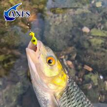 ANFS 10件組銅製旋轉釣魚路亞套裝附釣魚盒，適用淡水與鹹水，適合鯰魚、鱒魚、鯖魚、鱸魚、鮭魚的仿真硬餌 - 彩色 - 查看 11