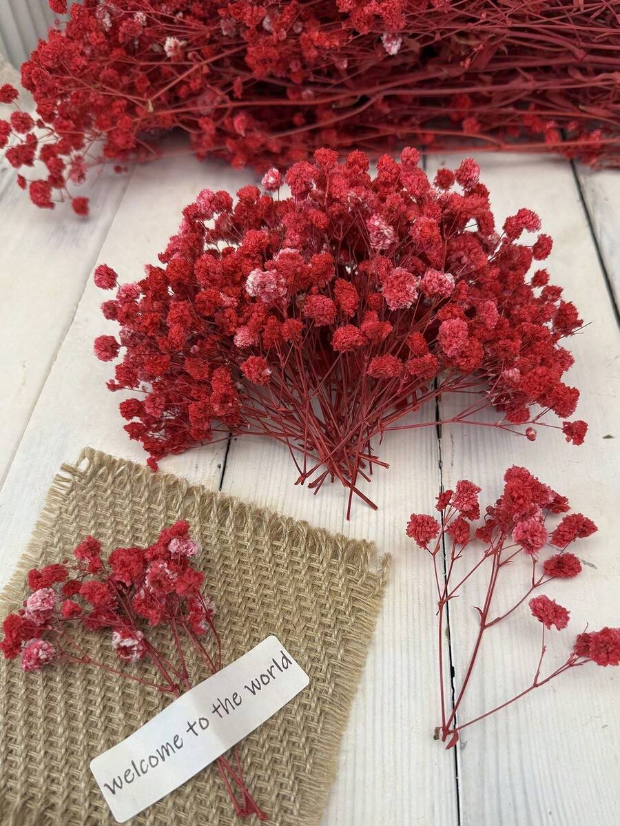 25/50/100/300 unidades de mini gipsófila - Para moldes de resina, artesanato, buquê branco marfim para acessórios de cabelo, coroas de casamento, arranjos de mesa, decoração de casa, etc. - Vermelho - Ver 1