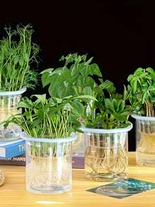 1套水培蔬菜种植篮，塑料花盆，适用于家庭阳台园艺和水培，1卷 - 查看 3