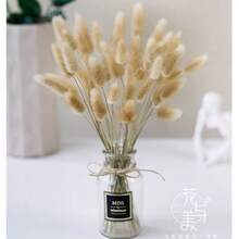60/120/180/240支人造兔尾草，人造兔尾草莖，適用於家居裝飾、婚禮裝飾、派對裝飾、DIY手工、攝影道具、主題裝飾 - 棕色 - 查看 5