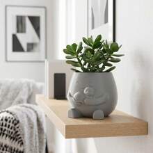 Cute Succulent Plant Pots, Animal Face Shaped Planters Suitable For Indoor Plants, Decorate Desktops, Shelves And Home Decor, Pink Grey White - A - View 4
