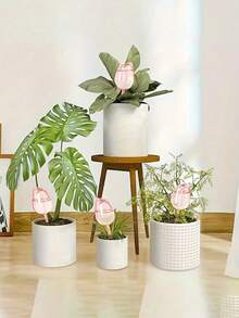 Bộ 1/2/4 củ hoa tulip tưới tự động, thiết bị tưới tự động trong nhà/ngoài trời, chậu cây phân phối nước tự động, thiết bị tưới tự động trong nhà, thiết bị tưới cây, củ tưới cây trong nhà/ngoài trời, thiết kế hoa trong suốt - A - Xem 8