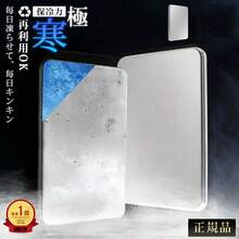 アウトドアキャンプ用ステンレス製バッグ クイック冷凍 長持ち再利用可能 ランチボックス 保冷保温 防漏トレイ 多目的バッグ アウトドアクーラーボックス ハイキング・トレッキング対応 キャンプ用品＆アクセサリー 冷却パック付き - シルバー - チェックする 12