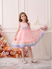 1 Stück Mädchen Rosa Prinzessin Ballkleid, Regenbogen Tüll Tutu Kleid, Blumenmädchen Hochzeits Klavieraufführung Kleid - Pink - Übersicht 2